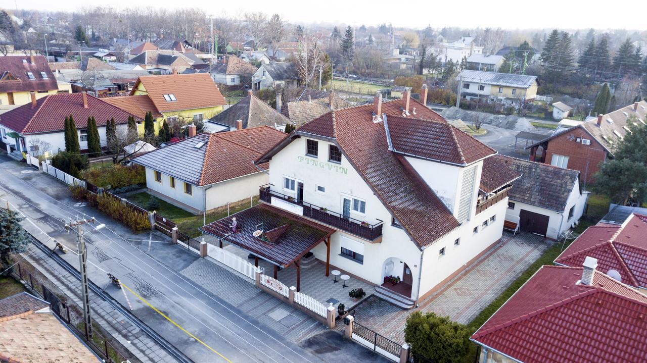 Pingvin Cukraszda